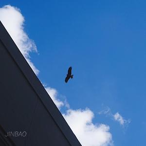 欧美性爱xx×高潮喷水
