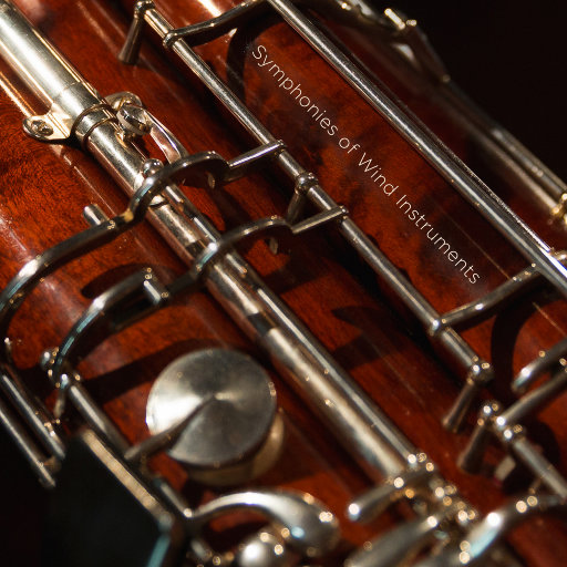 欧美性爱xx×高潮喷水
